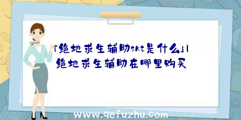 「绝地求生辅助skt是什么」|绝地求生辅助在哪里购买